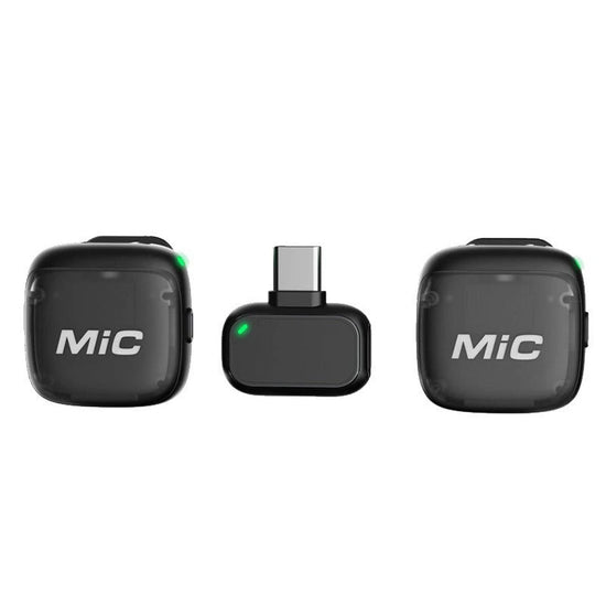 Portable Wireless Microphone